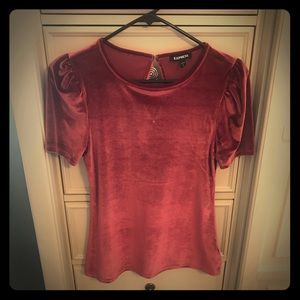 Velvet puffed sleeve blouse